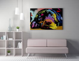 Wallity WY164 Lienzo Decorativo Multicolor 50 x 70 cm